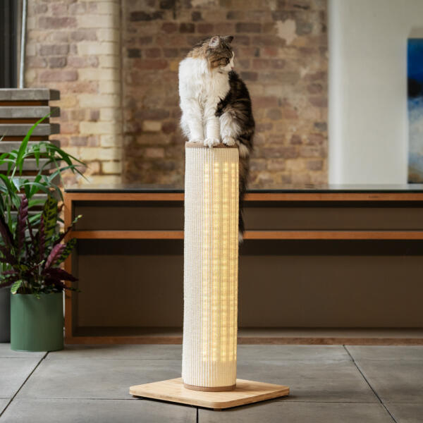 Scratching Posts