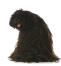 A healthy adult puli with a wonderful, thick dreadlock style coat