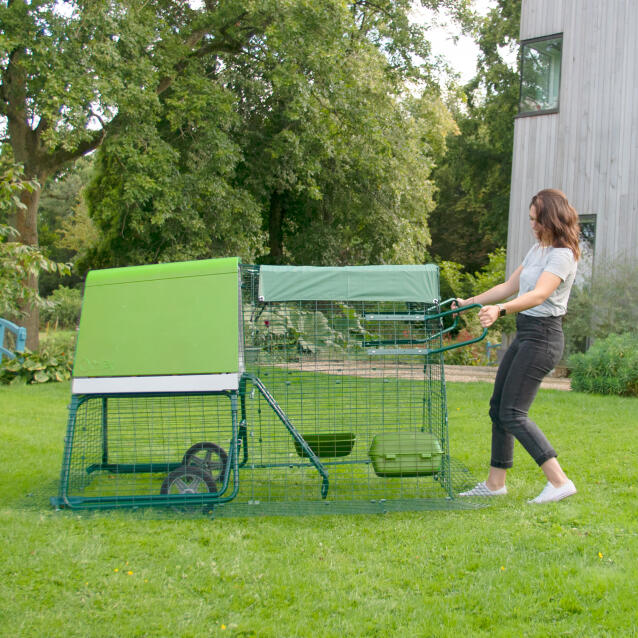 A woman moving an Eglu Go up chicken coop