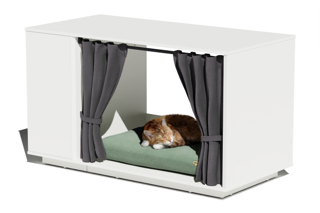 Cat sleeping in an indoor cat house