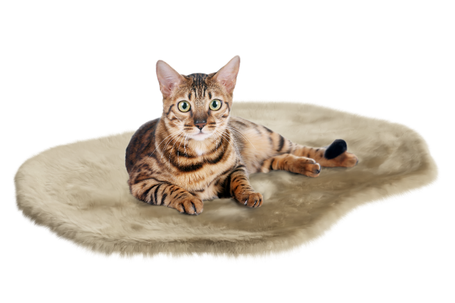 Luxury Omlet cat blankets