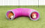 Two guinea pigs hidding in a tunnel.