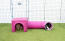 Rabbits in purple Zippi shelter and play tunnel