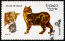Stamp from the state of oman with a manx cat on it