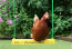 Chickens love sitting on the chicken swing