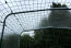 The clear cover offers weather protection with a Good view!