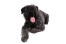 A fluffy bouvier des flandres lying down