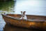 A lovely, little jack russell terrier relaxing in a boat after a swim