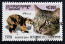 Postage stamp with a tortie manx cat on it Postage stamp with a tortie manx cat on it