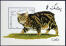 A marbled tabby manx on a postage stamp from afghanistan A marbled tabby manx on a postage stamp from afghanistan