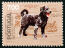 A stamp of a portuguese water dog