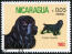 A cocker spaniel on a central american stamp