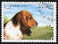 A basset hound on an afghan stamp