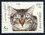 Tabby manx cat on a postage stamp Tabby manx cat on a postage stamp