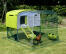 Eglu Cube chicken coop with chicken in run with clear cover on the run