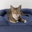 Close up of cat sitting on midnight blue bolster memory foam cat bed Close up of cat sitting on midnight blue bolster memory foam cat bed