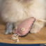 Close up of Omlet cat toy jellyfish with white cat Close up of Omlet cat toy jellyfish with white cat