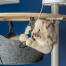 Cute white fluffy cat playing with fish toy in the hammock of a Omlet floor to ceiling cat tree Cute white fluffy cat playing with fish toy in the hammock of a Omlet floor to ceiling cat tree