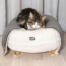 Cat sleeping on Omlet Maya cat bed in Snowball white with Gold hairpin feet and Omlet Lux urious cat blanket