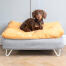 Dachshund sitting on Omlet Topology dog bed with bean bag topper and white hairpin feet