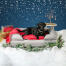 Black lab on a grey memory foam bolster bed in a christmas themed setup