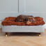 Dachshund sleeping on Topology dog bed with microfiber topper and brass capped wooden feet Dachshund sleeping on Topology dog bed with microfiber topper and brass capped wooden feet