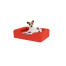 Dog sitting on small cherry red memory foam bolster dog bed Dog sitting on small cherry red memory foam bolster dog bed