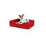 Dog sitting on small merlot red memory foam bolster dog bed Dog sitting on small merlot red memory foam bolster dog bed