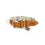 Omlet dog collar small - morning meadow Omlet dog collar small - morning meadow