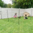 A woman in a garden which chickens inside a fenced off area.