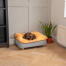 Dachshund laying on Omlet Topology dog bed with beanbag topper and square wooden feet