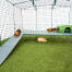 Omlet Zippi guinea pig playpen with Zippi platforms, green Zippi shelter and guinea pigs Omlet Zippi guinea pig playpen with Zippi platforms, green Zippi shelter and guinea pigs