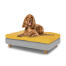 Small dog sitting on medium Topology dog bed with bean bag topper and round wooden feet Small dog sitting on medium Topology dog bed with bean bag topper and round wooden feet