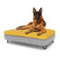 Dog sitting on a large Topology dog bed with beanbag topper and black metal hairpin feet
