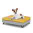 Dog sitting on a small Topology dog bed with beanbag topper and black metal hairpin feet Dog sitting on a small Topology dog bed with beanbag topper and black metal hairpin feet