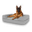 Dog sitting on large Topology dog bed with bolster topper