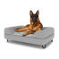 Dog sitting on a large Topology dog bed with grey bolster topper and black metal hairpin feet
