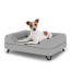 Dog sitting on a small Topology dog bed with grey bolster topper and black metal hairpin feet Dog sitting on a small Topology dog bed with grey bolster topper and black metal hairpin feet