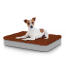 Dog sitting on small Topology dog bed with microfiber topper Dog sitting on small Topology dog bed with microfiber topper