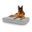 Dog sitting on large Topology dog bed with quilted topper Dog sitting on large Topology dog bed with quilted topper