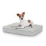 Dog sitting on small Topology dog bed with quilted topper Dog sitting on small Topology dog bed with quilted topper