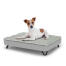 Dog sitting on a small Topology dog bed with quilted topper and black metal hairpin feet Dog sitting on a small Topology dog bed with quilted topper and black metal hairpin feet