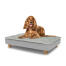 Dog sitting on a medium Topology dog bed with quilted topper and wooden round feet Dog sitting on a medium Topology dog bed with quilted topper and wooden round feet