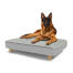 Dog sitting on a large Topology dog bed with quilted topper and wooden round feet Dog sitting on a large Topology dog bed with quilted topper and wooden round feet