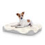 Dog sitting on small Topology dog bed with sheepskin topper Dog sitting on small Topology dog bed with sheepskin topper