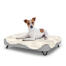 Dog sitting on a small Topology dog bed with sheepskin topper and black metal hairpin feet Dog sitting on a small Topology dog bed with sheepskin topper and black metal hairpin feet