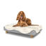 Dog sitting on a medium Topology dog bed with sheepskin topper and wooden round feet