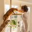 A cat climbing on a cat tree.