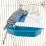 A budgie admiring itself in the mirror.