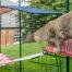 Cat climbing off of red outdoor cat shelf onto white outdoor cat shelf in Omlet catio